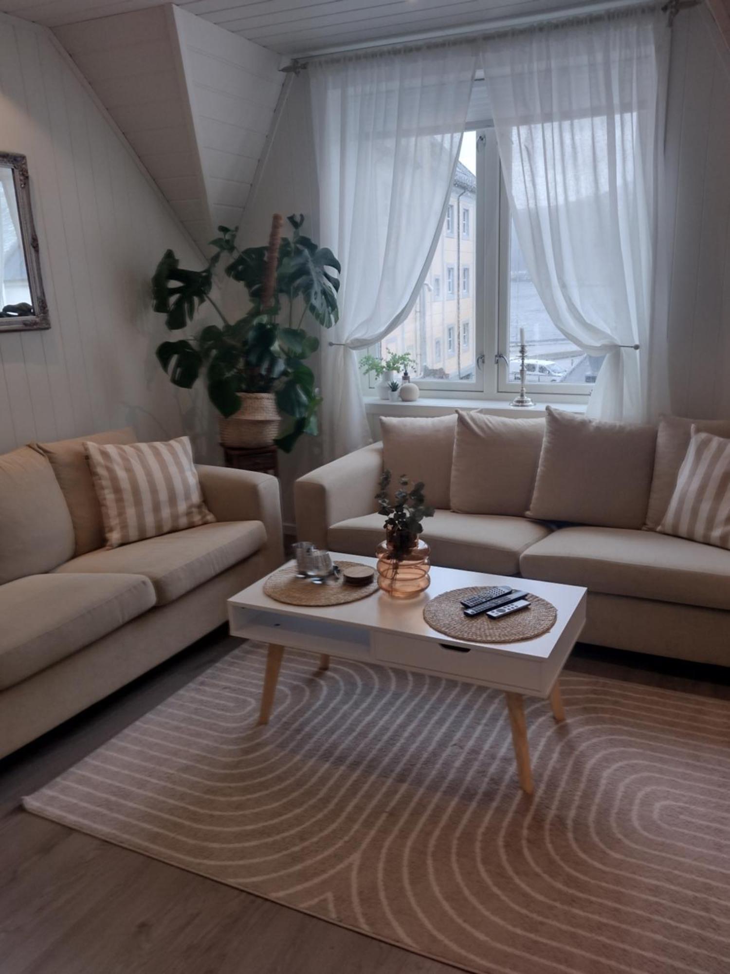 Light Terrace Apartment